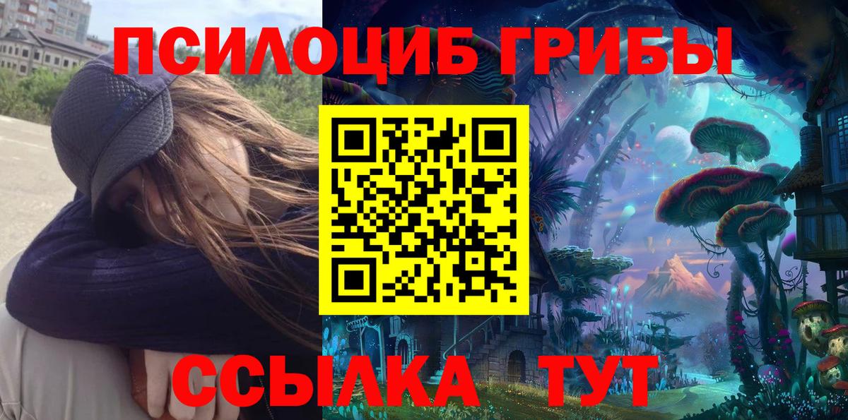 Галлюциногенные грибы Psilocybe  Вход с VPN  Белебей 