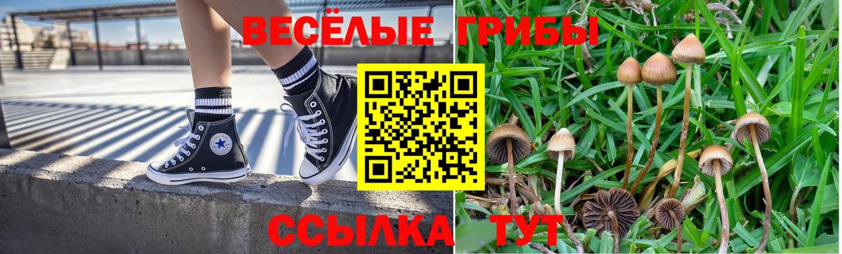 Псилоцибиновые грибы ЛСД Белебей